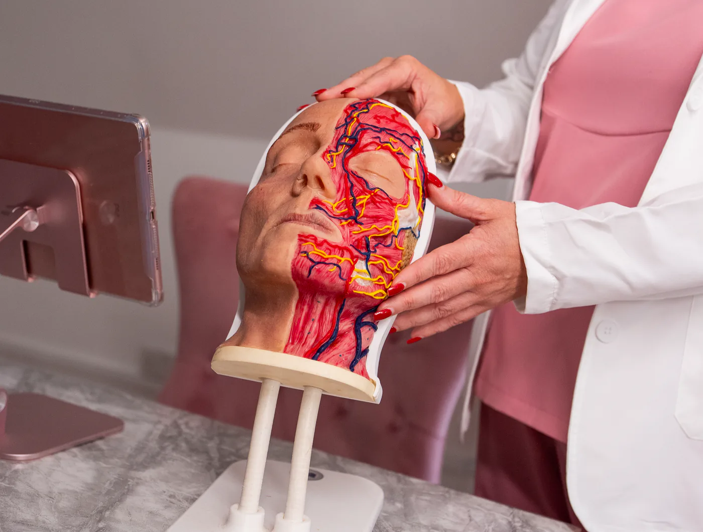 A tutor holding an anatomical head model showing the facial arteries and muscles